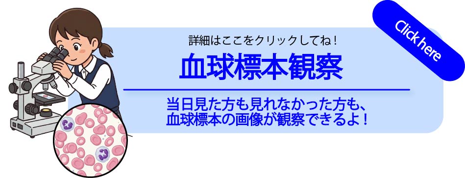 血球標本観察